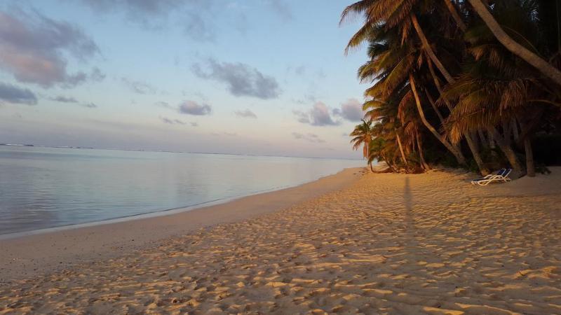 Little Polynesian Resort Раротонга Екстериор снимка